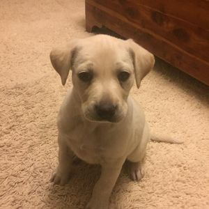 Meet your Posher, Missy